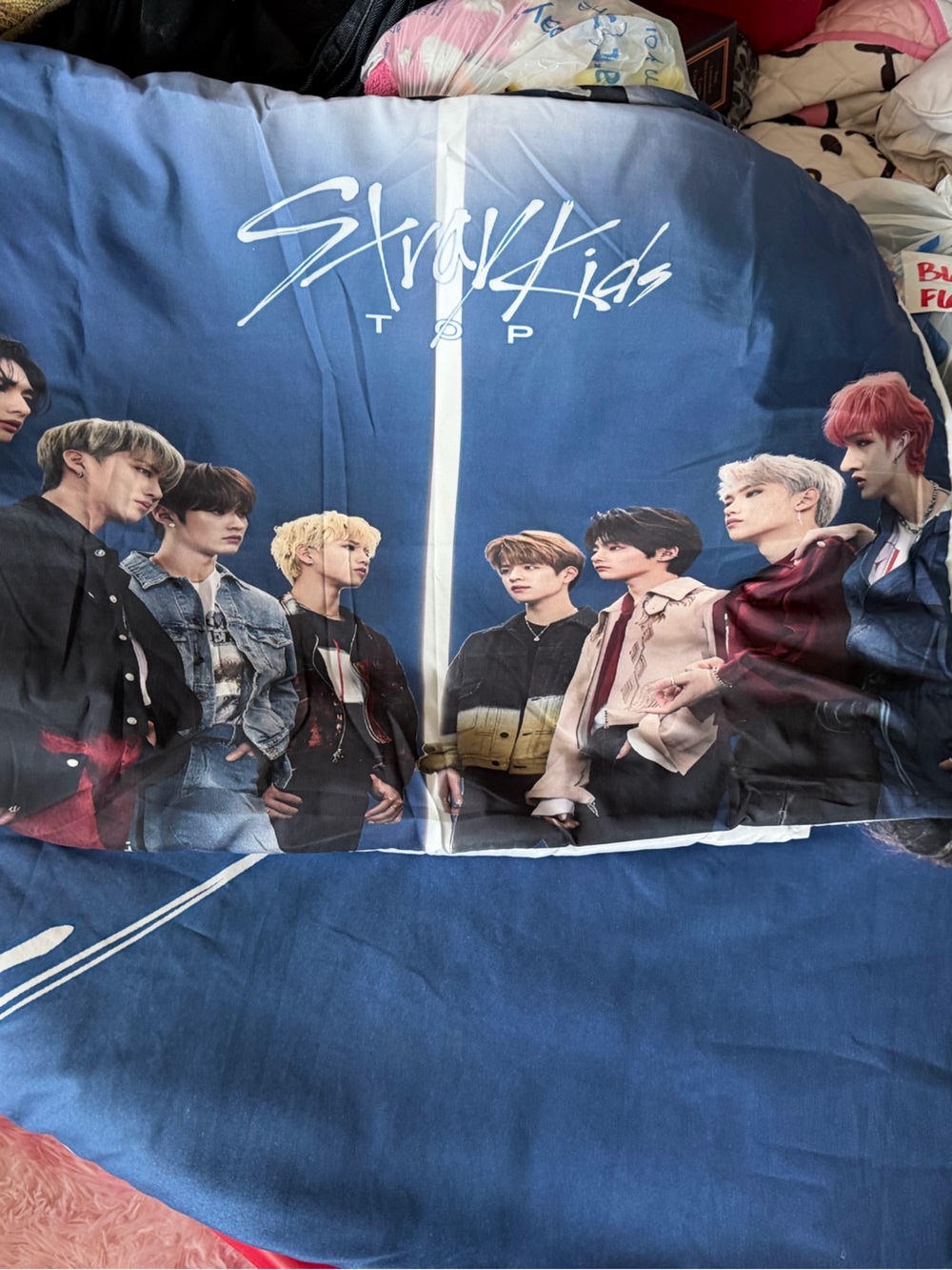 Full size-stray kids